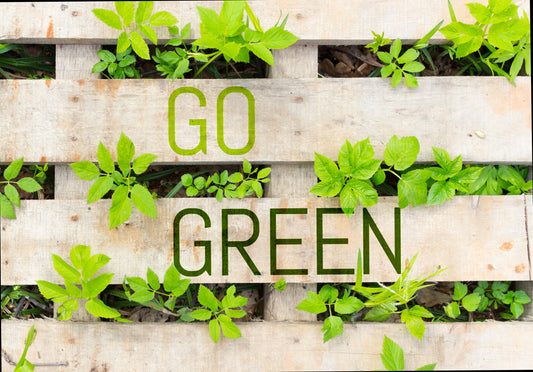 GO GREEN!! ♻️♻️